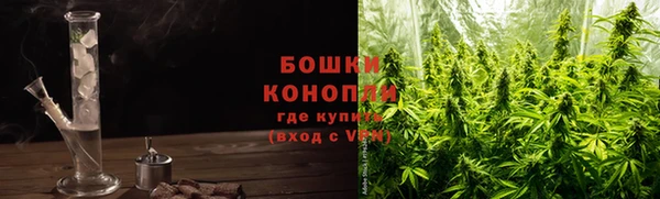 крисы Медвежьегорск