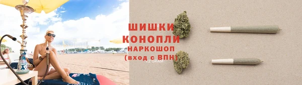 крисы Медвежьегорск