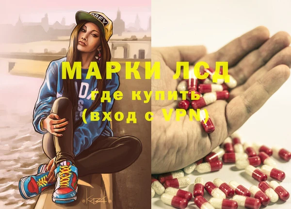 крисы Медвежьегорск