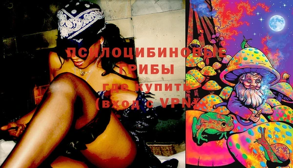 ешки Медногорск