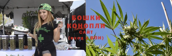 крисы Медвежьегорск